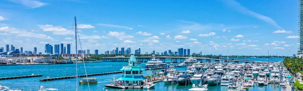 Meet Lee Andrea, General Manager of Miami Beach Marina, a Suntex Marina.